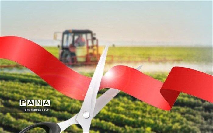 مدیر جهاد کشاورزی شهرستان درمیان : بهره‌برداری از پروژه های کشاورزی درمیان و بهره مندی 118 خانواری