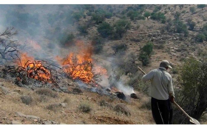 آتش‌سوزی در مزارع و مراتع گچساران مهار شد