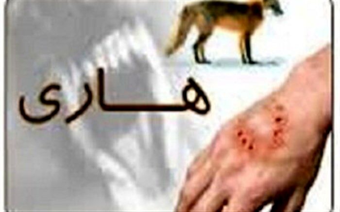 مرگ ۲ نفر بر اثر هاری در گیلان