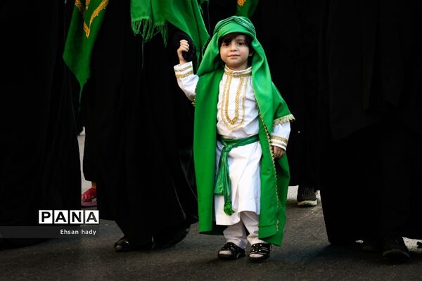ورود نمادین قافله سید الشهداء به کربلا