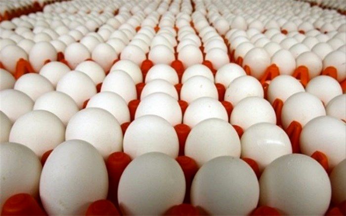 افت تقاضا در ماه محرم، تخم مرغ را ارزان کرد