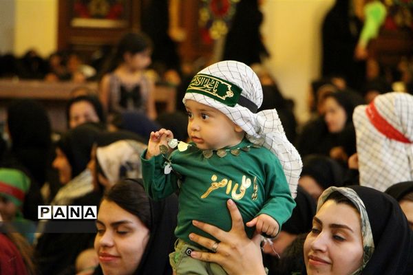 پانزدهمین همایش جهانی شیرخوارگان حسینی در شیراز