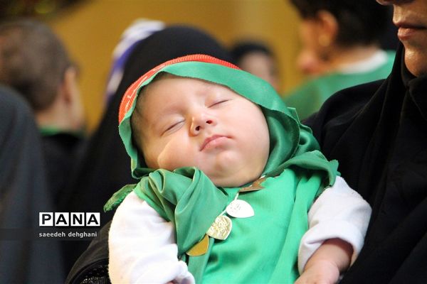 پانزدهمین همایش جهانی شیرخوارگان حسینی در شیراز