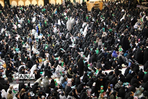 پانزدهمین همایش جهانی شیرخوارگان حسینی در شیراز