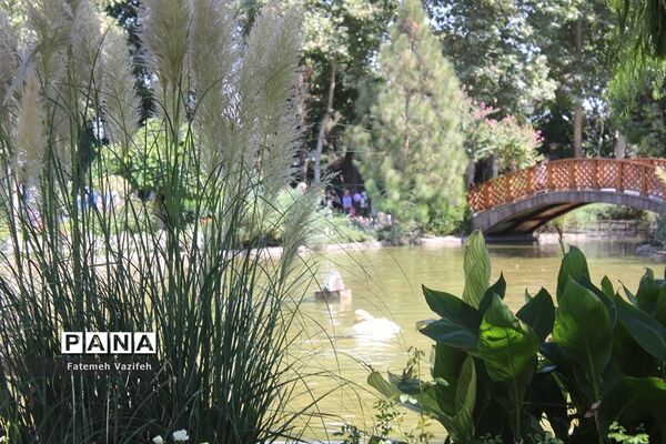 هفتمین نمایشگاه گل و گیاه کرج