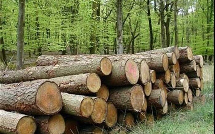 ۱۵.۶ تُن چوب قاچاق در بوکان کشف شد