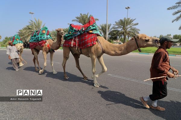 مراسم روز عاشورای حسینی در کیش