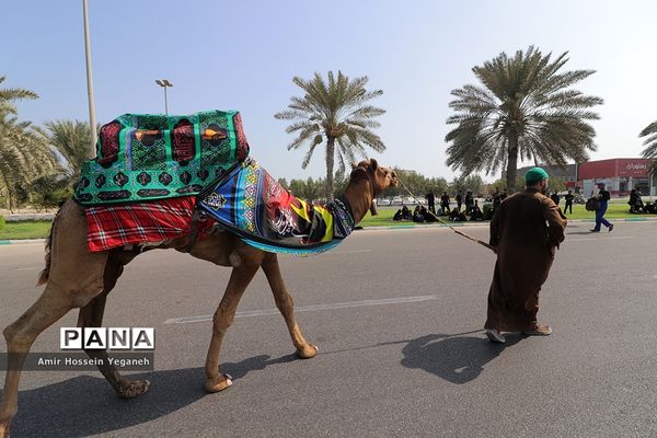 مراسم روز عاشورای حسینی در کیش