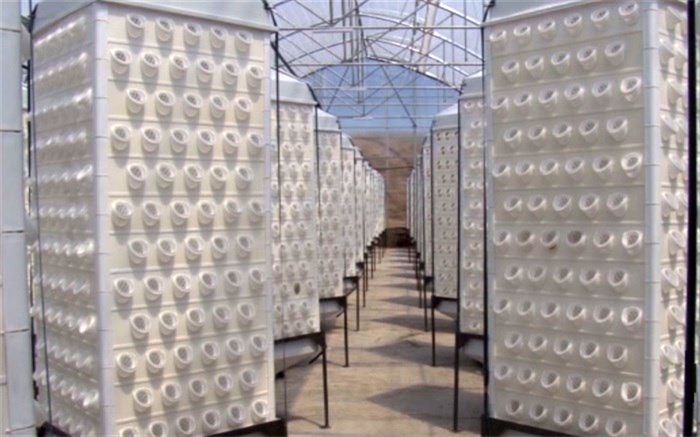 استفاده از سیستم جدید گلخانه ای"هواکشت" با فناوری ایروپونیک در البرز