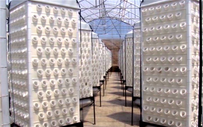 استفاده از سیستم جدید گلخانه ای"هواکشت" با فناوری ایروپونیک در البرز