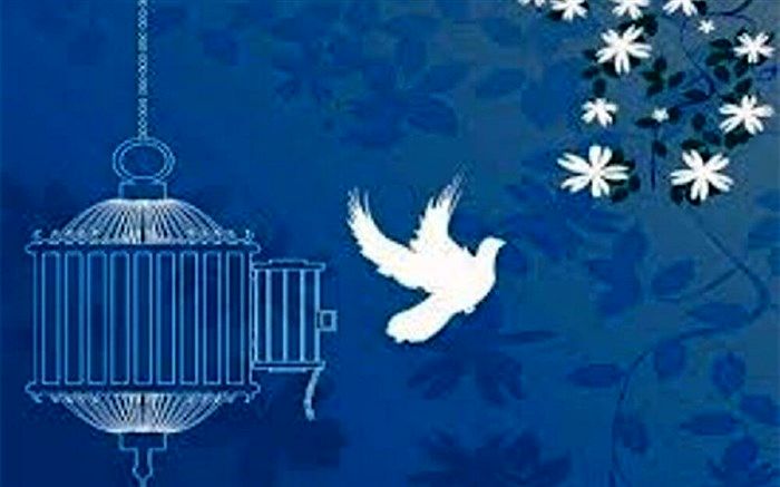 خیّر سلماسی، ۳ زندانی جرایم مالی را آزاد کرد