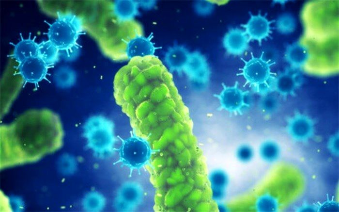 تاثیر باکتری‌های روده بر قند خون