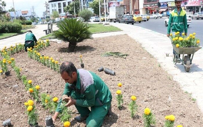 آماده‌سازی معابر تالش برای بازگشایی مدارس