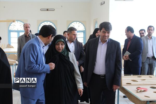 بازدید معاون رئیس جمهوری از پارک کلینیک باغچه ذهن