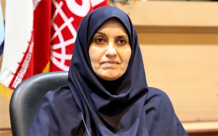 ۲۰ محموله وارداتی از سوی سازمان استاندارد مجوز واردات به کشور را دریافت نکرد