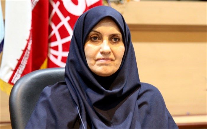 ۲۰ محموله وارداتی از سوی سازمان استاندارد مجوز واردات به کشور را دریافت نکرد