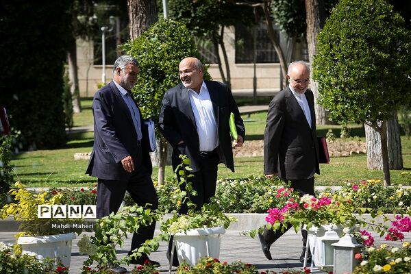 حاشیه جلسه هیات دولت