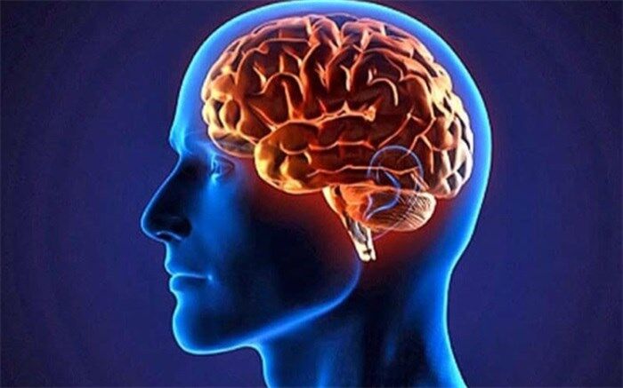 تشخیص افسردگی و اختلالات خواب با استفاده از نقشه‌برداری مغز