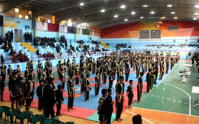 البرز قهرمان بیست و چهارمین دوره مسابقات هاپکیدوی قهرمانی کشور شد