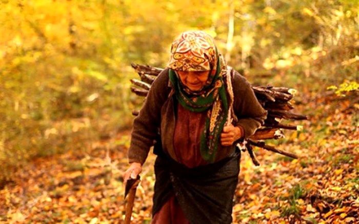 مستند «دلبند» برنده 6 جایزه از جشنواره‌های جهانی شد