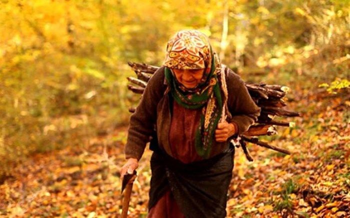 مستند «دلبند» برنده 6 جایزه از جشنواره‌های جهانی شد
