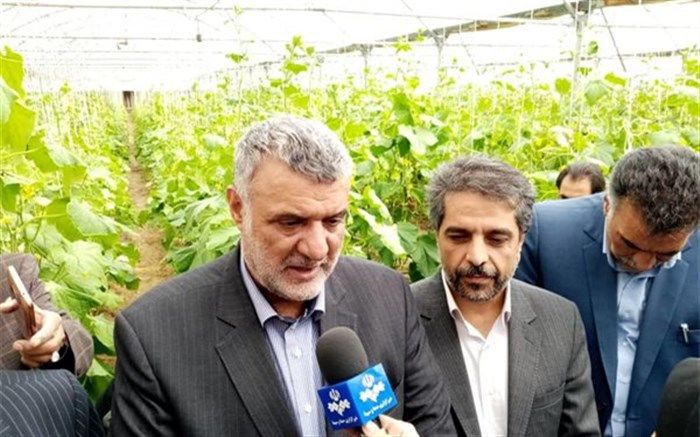 توسعه گلخانه‌ها از اهداف و سیاست‌های وزارت جهاد کشاورزی است