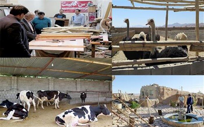 خودکفایی و اشتغال 3 هزار مددجوی کمیته امداد فارس