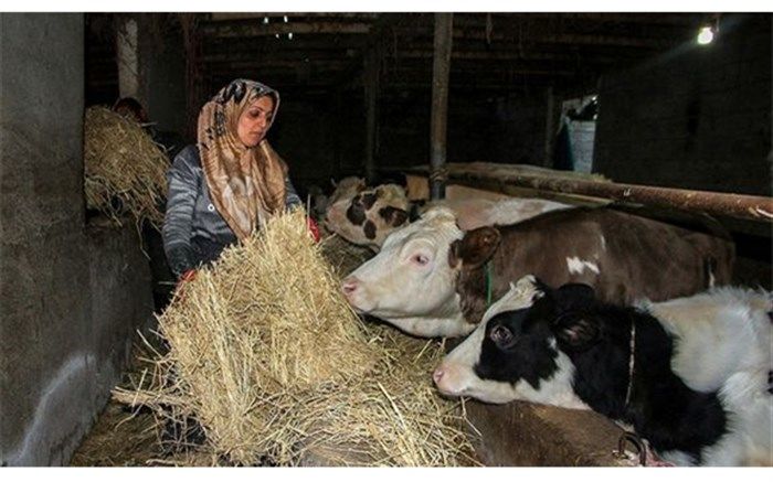 توسعه گردشگری روستایی مهمترین برنامه‌ معاونت زنان ریاست جمهوری