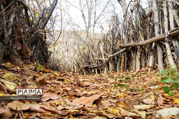 طبیعت پائیزی روستای دشتک