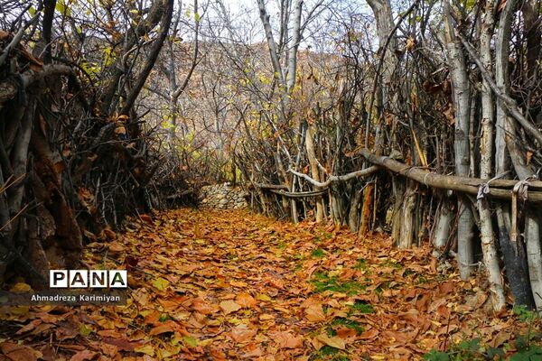 طبیعت پائیزی روستای دشتک