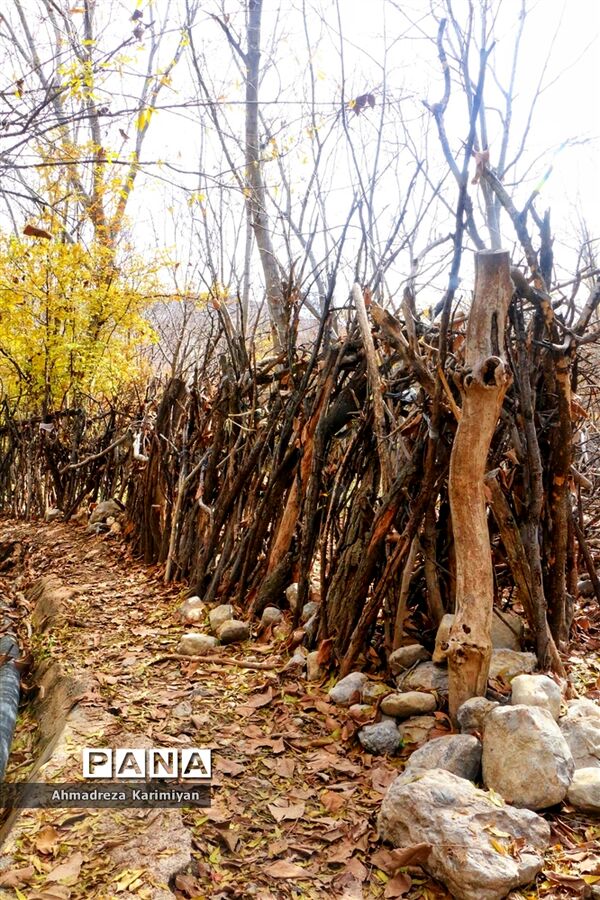 طبیعت پائیزی روستای دشتک