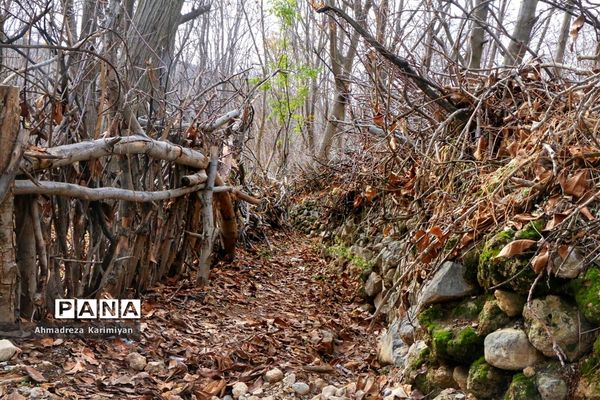 طبیعت پائیزی روستای دشتک