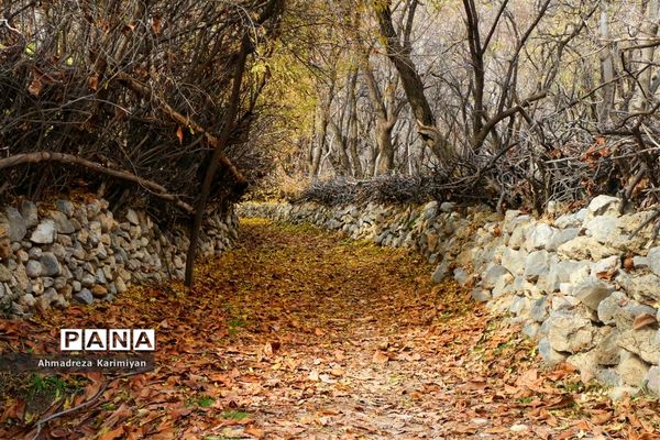 طبیعت پائیزی روستای دشتک