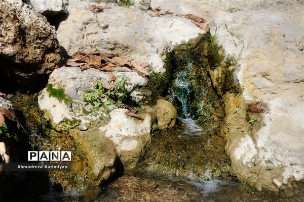 طبیعت پائیزی روستای دشتک