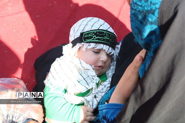 شور حسینی در حرم مطهر احمدبن موسی (ع) در شیراز