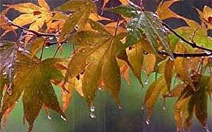 هوای گیلان از امروز خنک و بارانی می‌شود