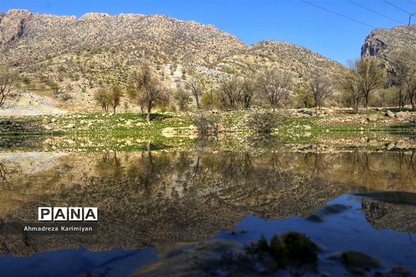 طبیعت زیبای تنگ نرگسی در کازرون فارس