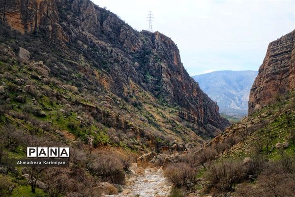 طبیعت زیبای تنگ نرگسی در کازرون فارس