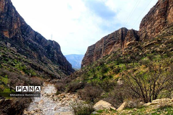 طبیعت زیبای تنگ نرگسی در کازرون فارس