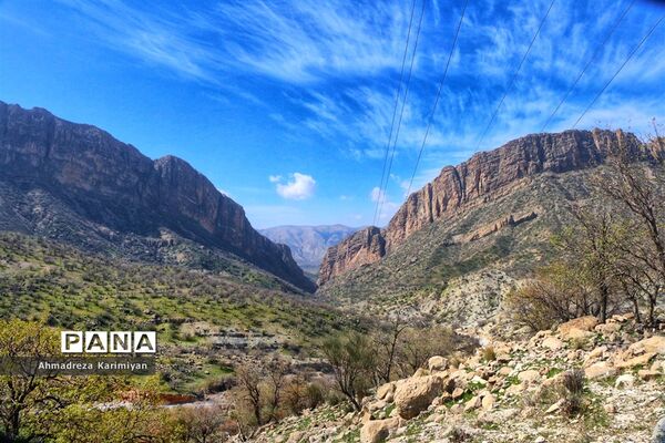 طبیعت زیبای تنگ نرگسی در کازرون فارس