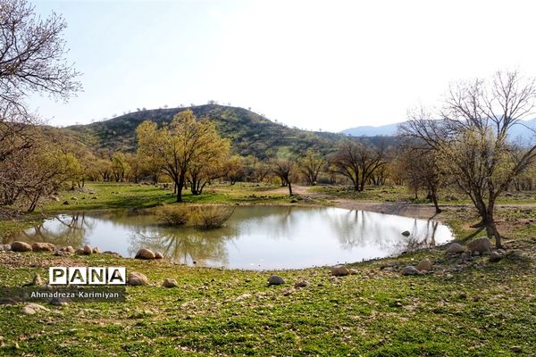 طبیعت زیبای تنگ نرگسی در کازرون فارس