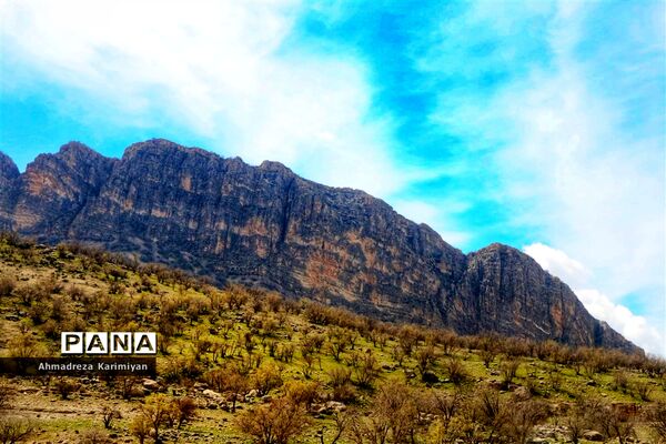 طبیعت زیبای تنگ نرگسی در کازرون فارس