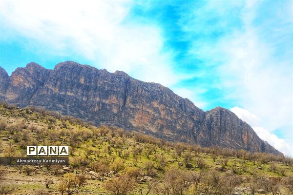 طبیعت زیبای تنگ نرگسی در کازرون فارس