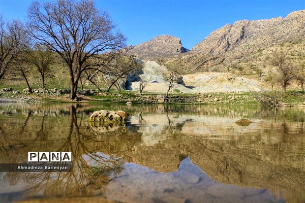 طبیعت زیبای تنگ نرگسی در کازرون فارس