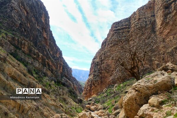 طبیعت زیبای تنگ نرگسی در کازرون فارس