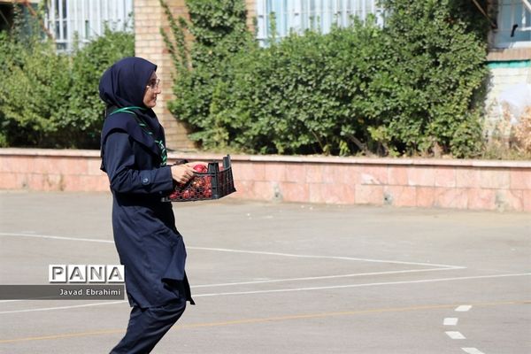 بازدید مدیر سازمان دانش‌آموزی خراسان رضوی از خدمت‌رسانی پیشتازان به زائران امام رضا (ع)