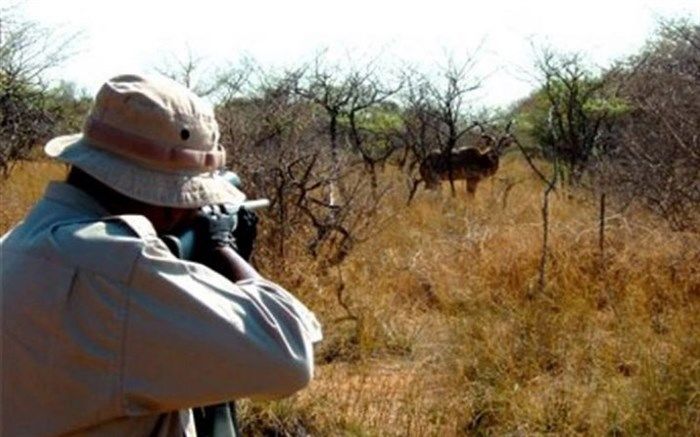 شکارچیان ناکام، گرفتار در رصد محیط‌بانان استان تهران