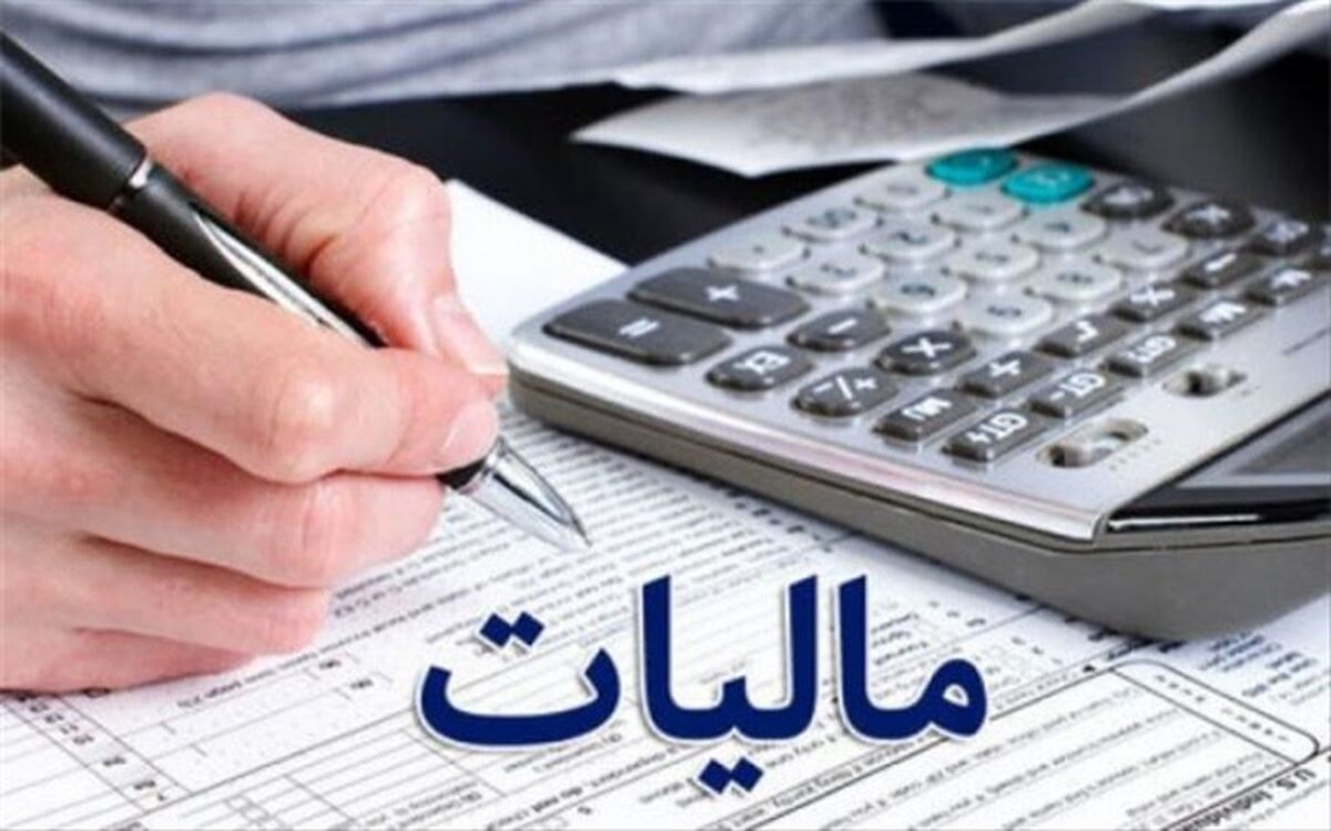 مدیر کل بازرسی سازمان مالیاتی:  ۳ هزار وکیل پرونده مالیاتی ندارند