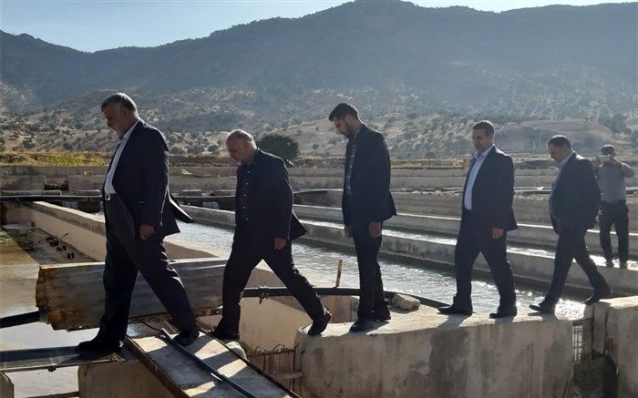 بازدید وزیر جهاد کشاورزی  از طرح پرورش ماهی خاویاری ده شیخ دنا