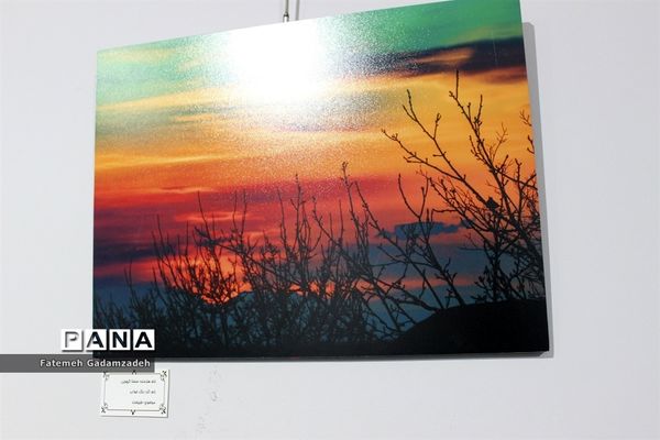 نمایشگاه نقاشی و عکاسی  مهرآرا درفرهنگسرای ارسباران تهران